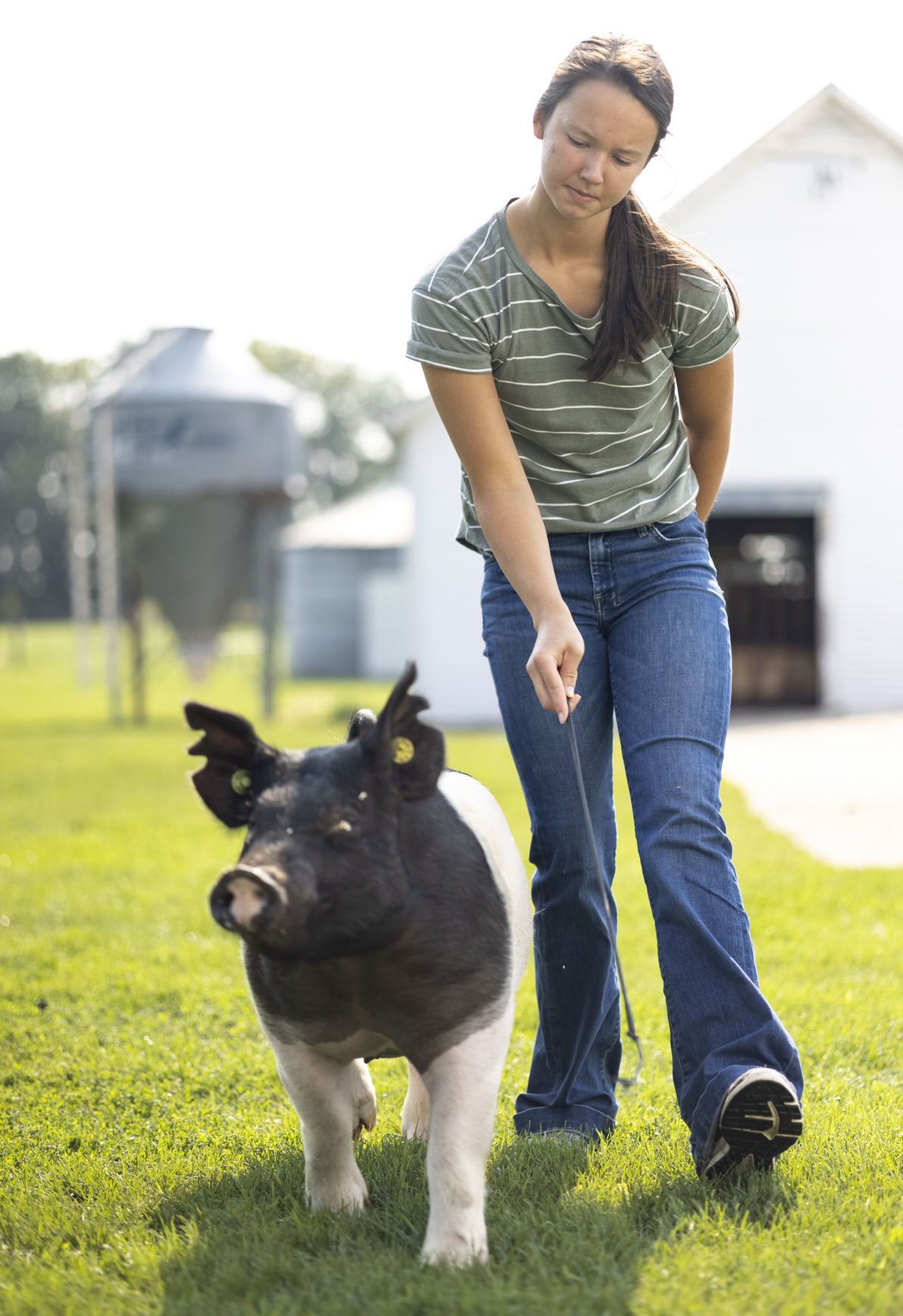Plymouth County Fair Preview